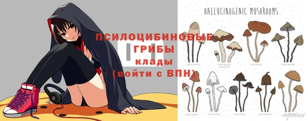 мяу мяу мука Верхнеуральск