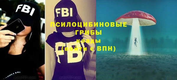 дживик Верея