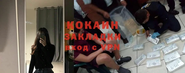 дживик Верея