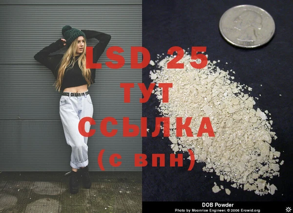 дживик Верея