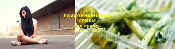 мдпв Верхний Тагил
