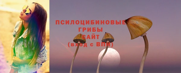мдпв Верхний Тагил