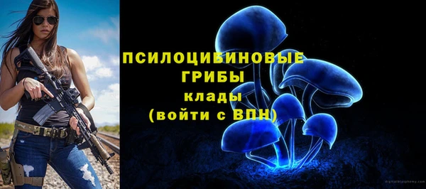 дживик Верея