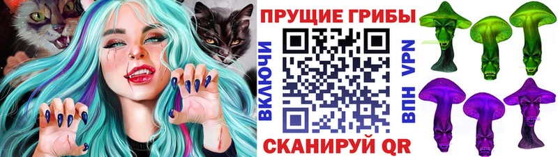 Псилоцибиновые грибы Psilocybine cubensis  Павловская 